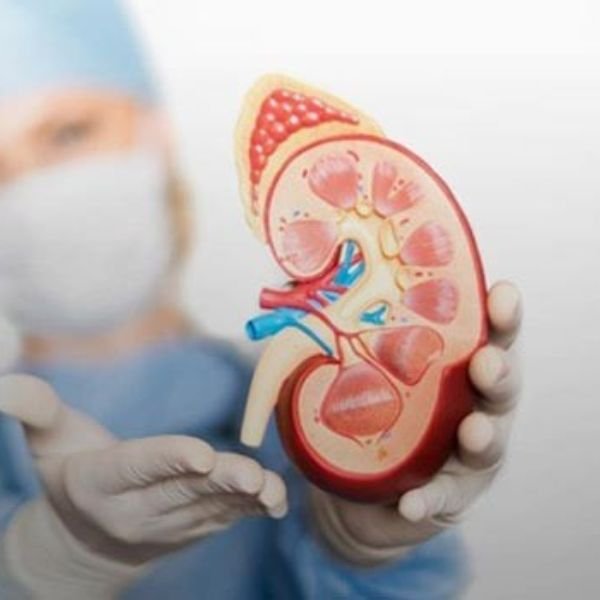 Admission in Top BSc Renal Dialysis Colleges in Bangalore